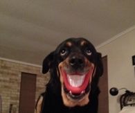 Now Smile boy