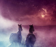 Dancing ponies