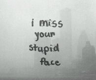 i miss your stupid face