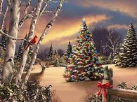 Christmas for the Wildlife Animals
