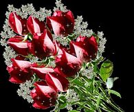 Sparkling Bouquet of Red Roses