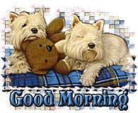 Good Morning