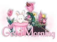 Good Morning