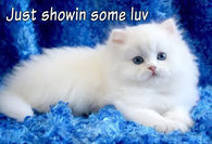 Just Showin some luv