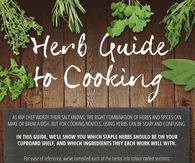 Herb Guide For Cooking