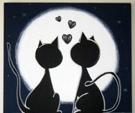 good night
