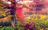 pursue them