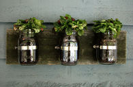 Mason Jar Plant Holder