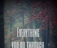 everything grows you