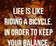 life is like