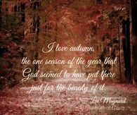 I love autumn