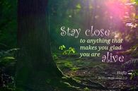 stay close