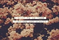 forever and always
