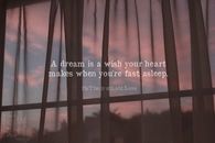 dreams