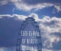 notice it