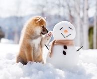 Snowman Friend