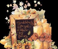 Thankfulness is the soil in which joy thrives