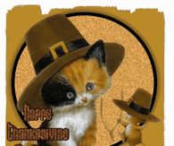 Happy Thanksgiving My Friend
