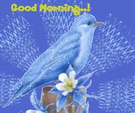 Good Morning