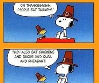 Thanksgiving is a bad time to be a turkey