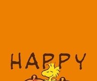 happy thanksgiving