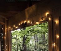 Room In Nature
