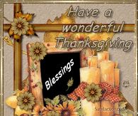 Have a Wonderful Thanksgiving