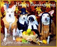 Happy Thanksgiving