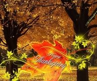 Pretty Thanksgiving Leaf