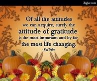 Gratitude