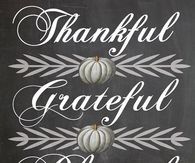 thankful grateful blessed