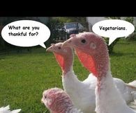 thankful for vegetarians