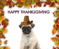 Happy Thanksgiving