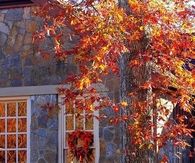 Home on Thanksgiving