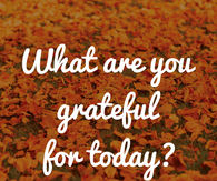 What are you grateful for today