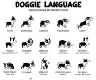 Doggie Language