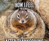 How I feel After Thanksgiving