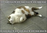 I ate to much