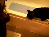 Pushed In The Tub