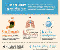 18 Interesting Facts About The Human Body