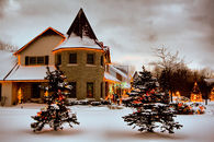 Outdoor Christmas Lights