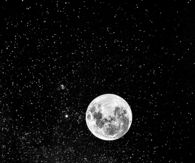 Moon In The Star Filled Night