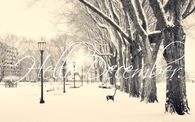 Hello December