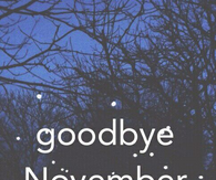 Goodbye Novemeber