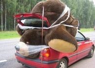 Toy bear massive