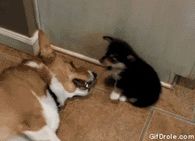 What's That Smell