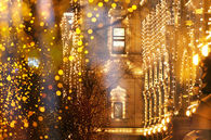 Golden Christmas Lights