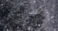 Snow Bokeh