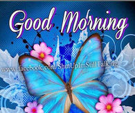 Good Morning