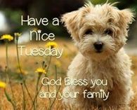 Have a nice Tuesday